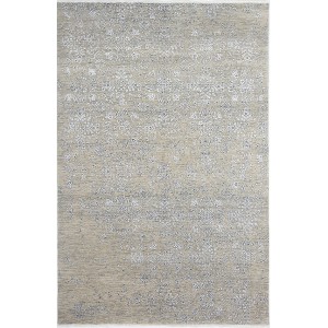 33645 Contemporary Indian Rugs